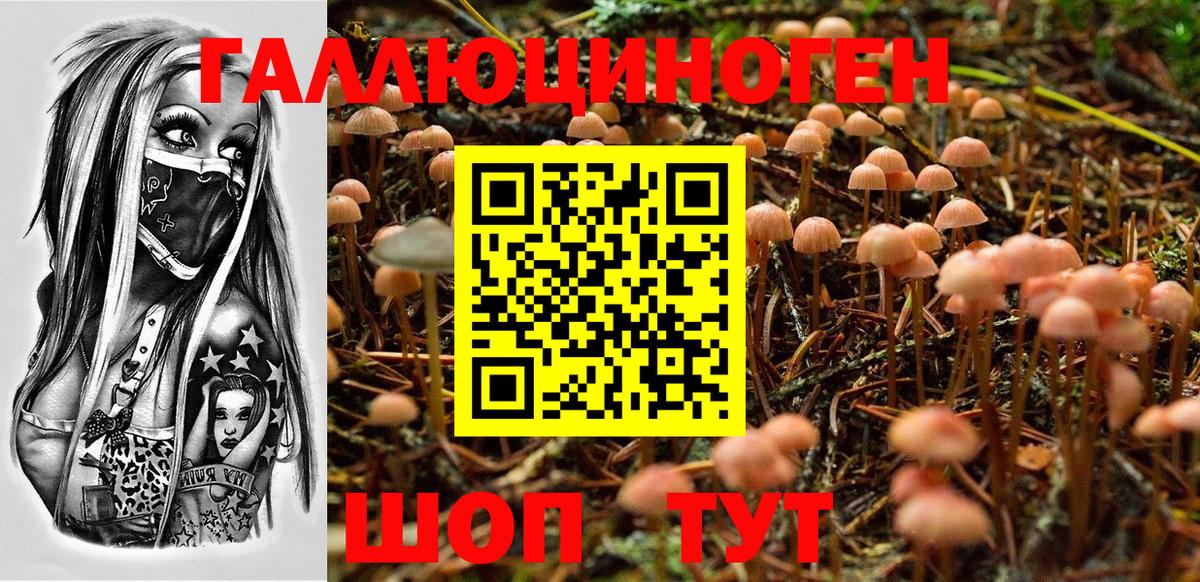 что такое наркотик  Вход с VPN  Димитровград  Псилоцибиновые грибы Psilocybine cubensis 