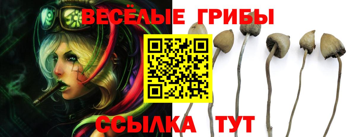 Псилоцибиновые грибы MAGIC MUSHROOMS Димитровград